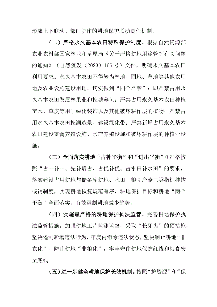 市耕地保护领域突出问题专项整改工作方案.docx_第2页