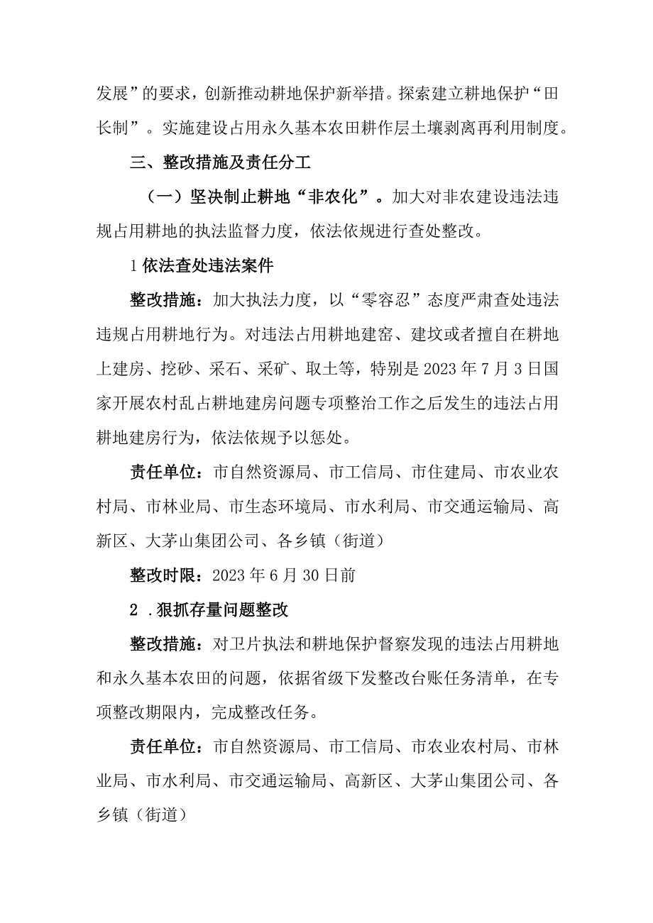 市耕地保护领域突出问题专项整改工作方案.docx_第3页