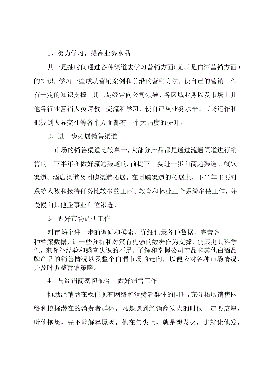 酒水销售年度工作计划（19篇）.docx_第3页