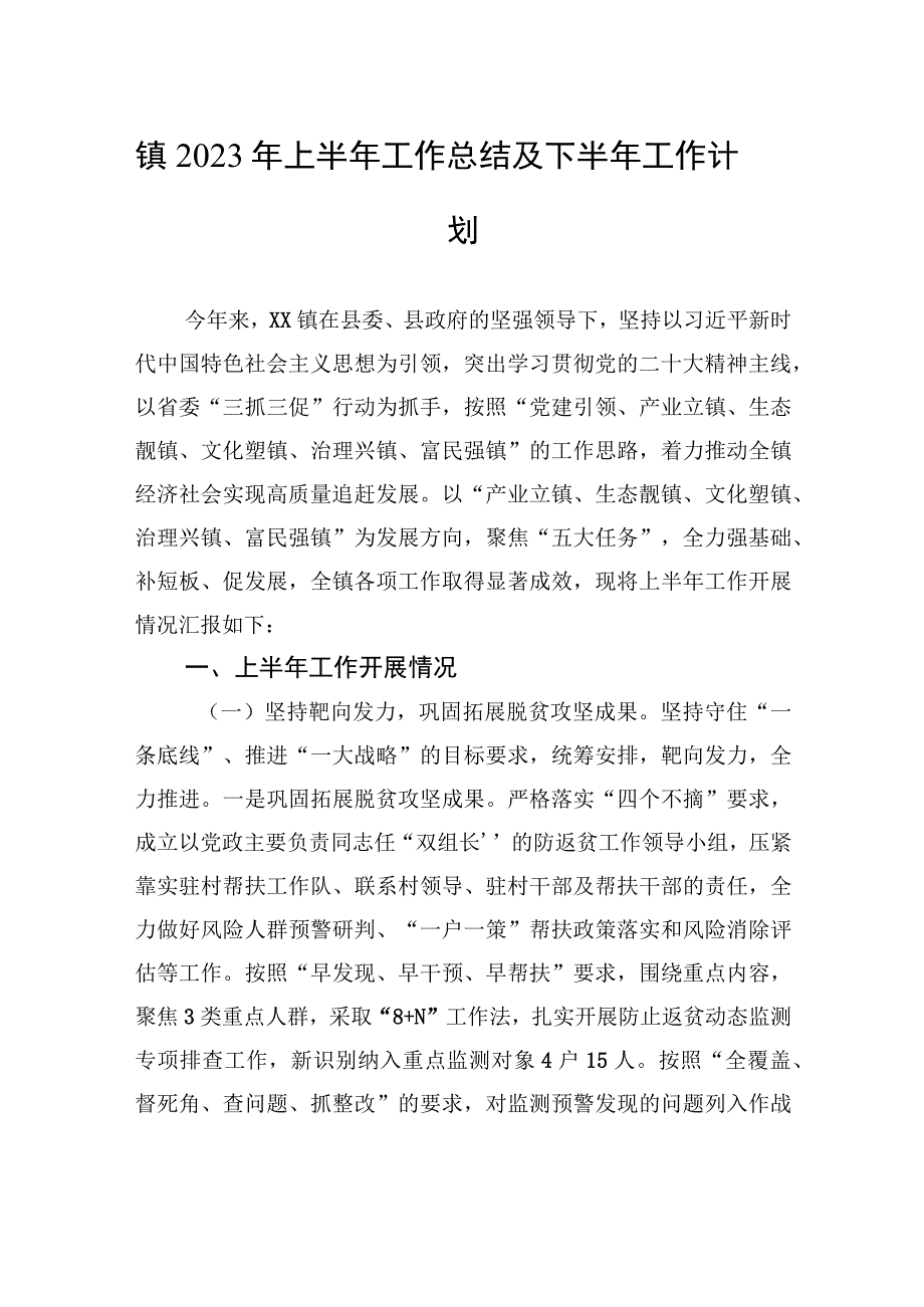 镇2023年上半年工作总结及下半年工作计划（20230913）.docx_第1页