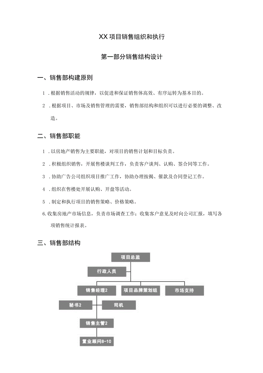 项目销售组织和执行.docx_第1页