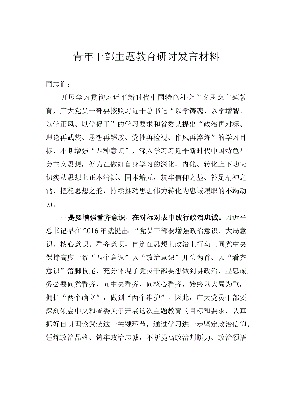 青年干部主题教育研讨发言材料.docx_第1页