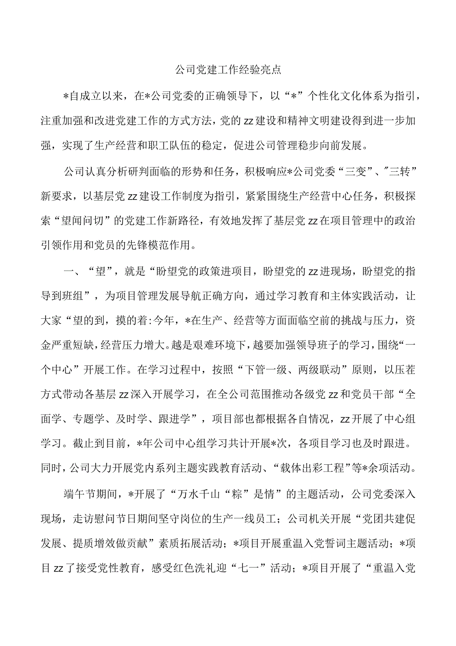 公司党建工作经验亮点.docx_第1页