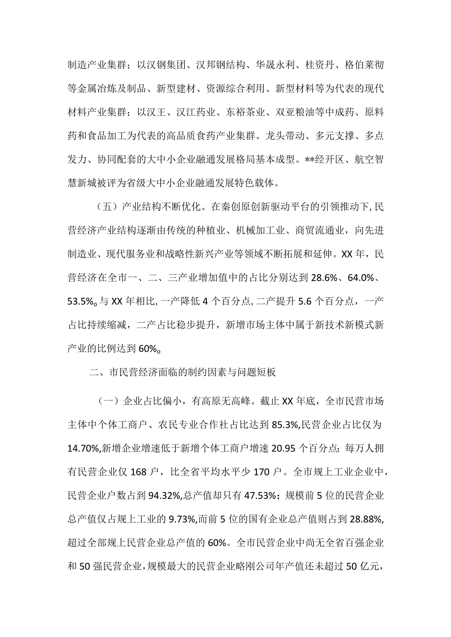 2023年度市民营经济发展情况调研报告.docx_第3页