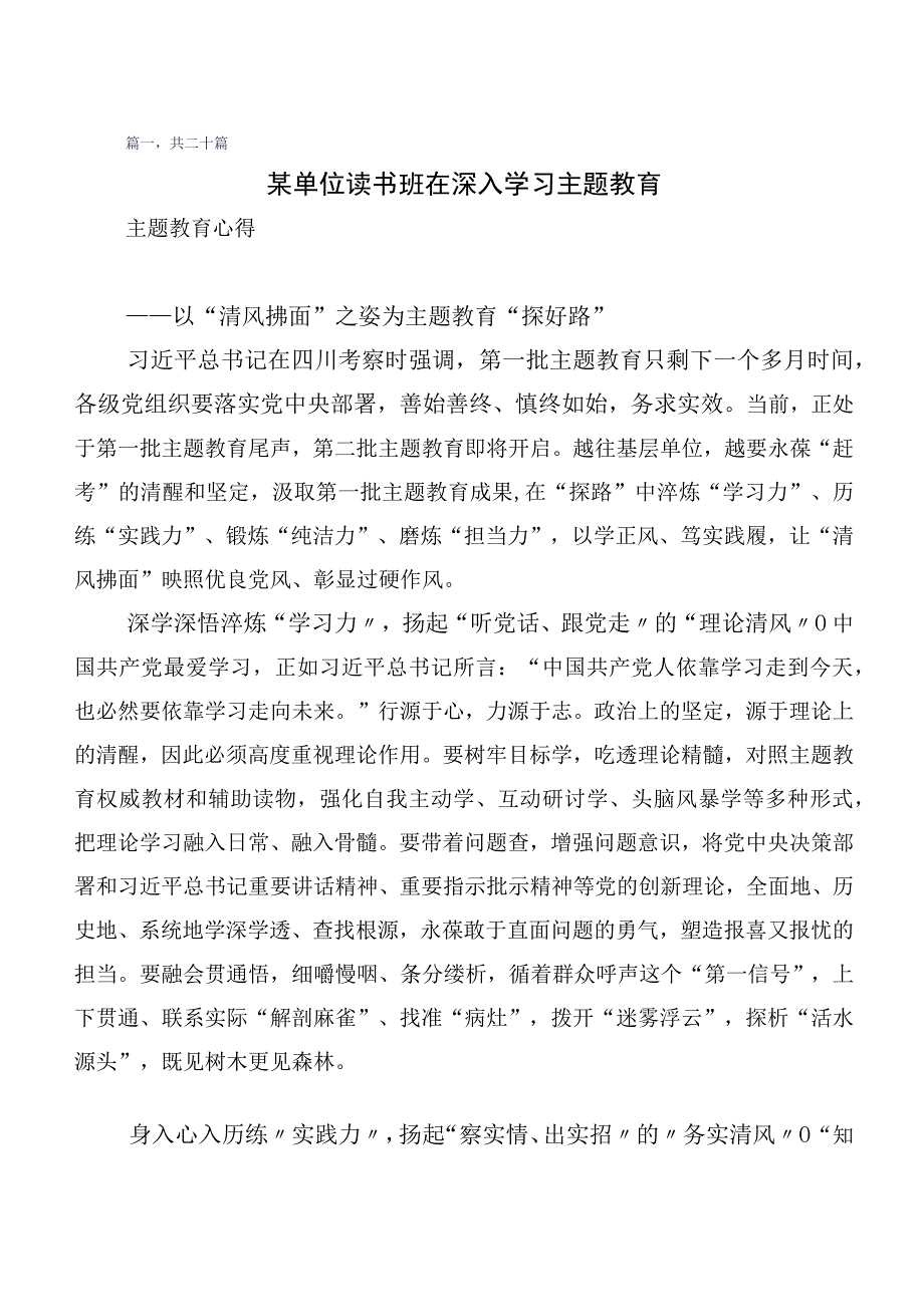 2023年集体学习第二批主题教育专题学习研讨发言材料数篇.docx_第1页