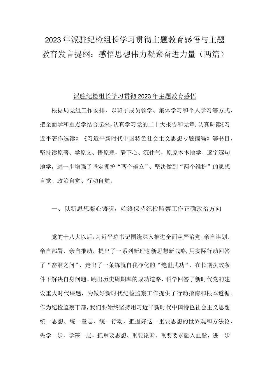 2023年派驻纪检组长学习贯彻主题教育感悟与主题教育发言提纲：感悟思想伟力凝聚奋进力量（两篇）.docx_第1页