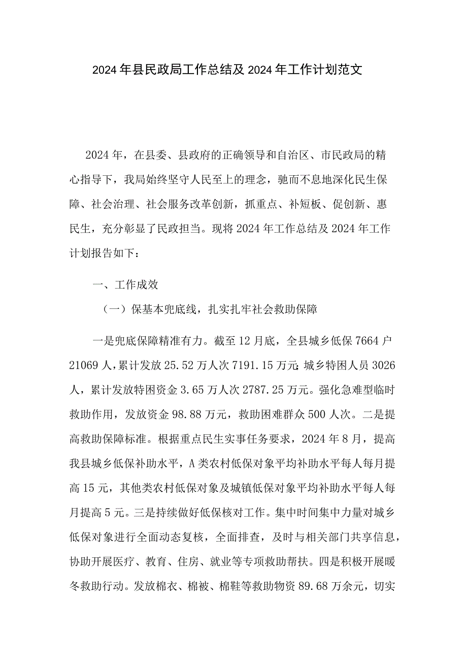 2024年县民政局工作总结及2024年工作计划范文.docx_第1页