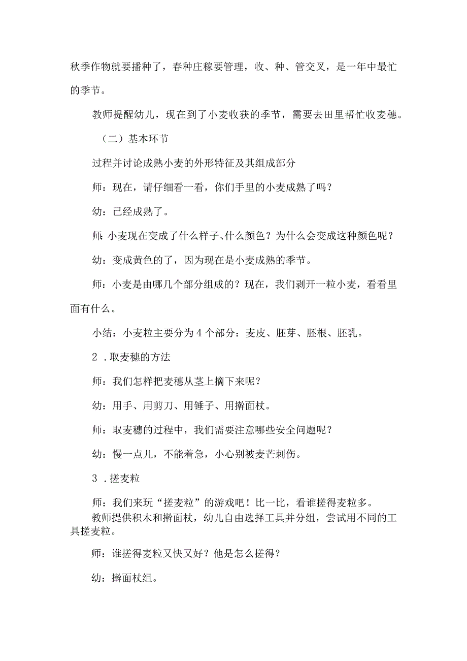 幼儿园中班芒种节气活动设计好玩的麦穗.docx_第2页