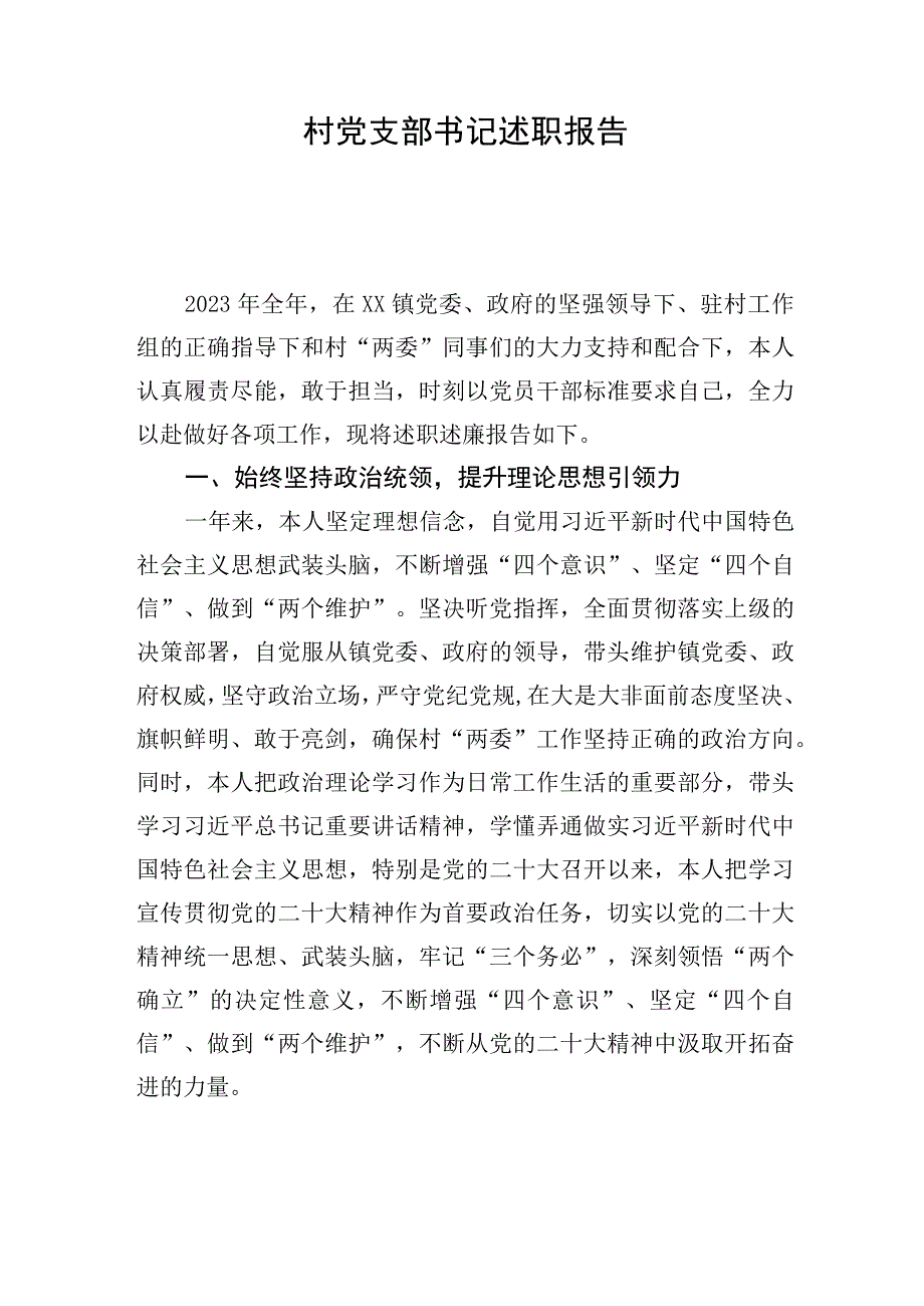 村党支部书记述职报告.docx_第1页