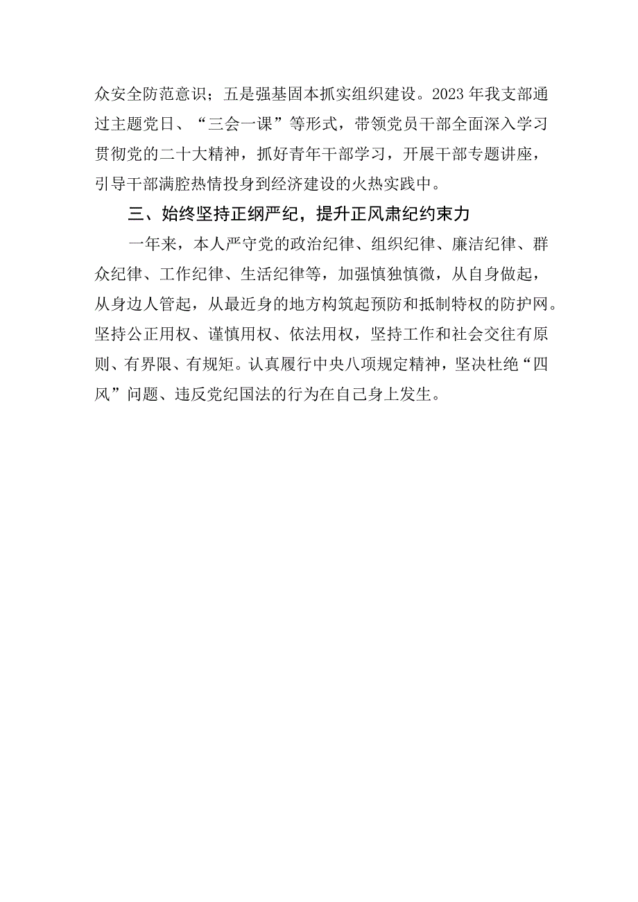 村党支部书记述职报告.docx_第3页