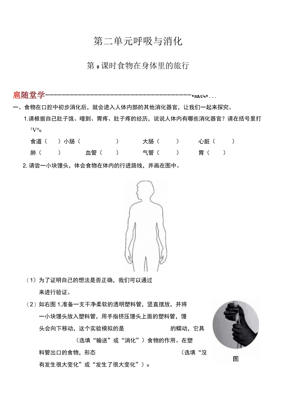 教科版科学四上2.8《食物在身体里的旅行》课后练习.docx_第1页