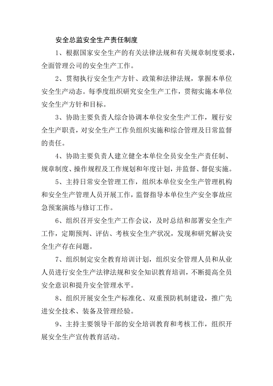 安全总监安全生产责任制度.docx_第1页