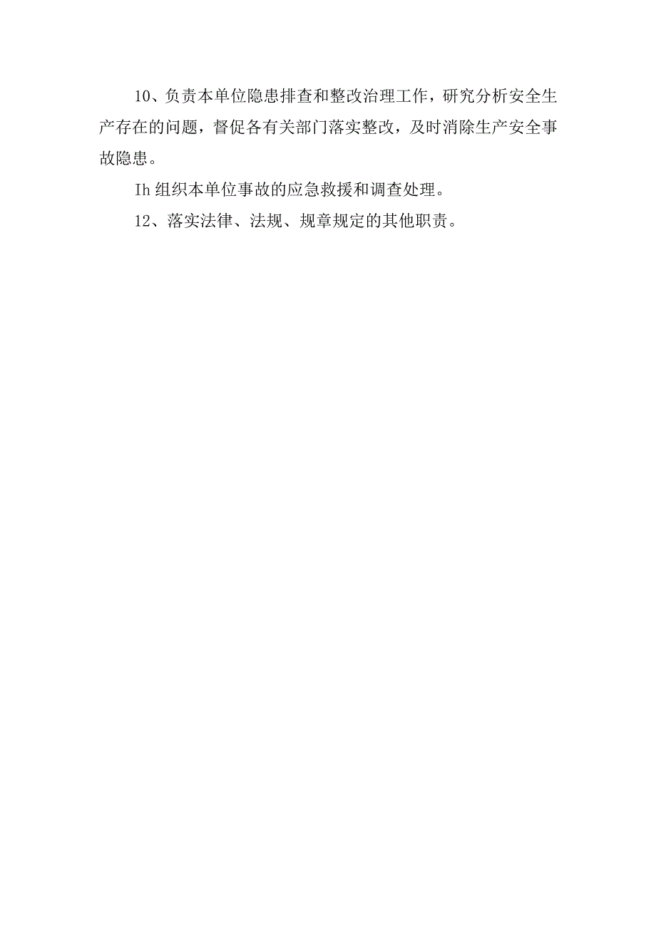 安全总监安全生产责任制度.docx_第2页