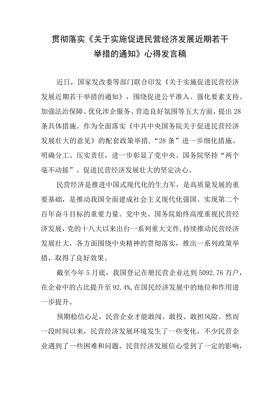 贯彻落实《关于实施促进民营经济发展近期若干举措的通知》心得发言稿+关于实施促进民营经济发展近期若干举措的通知.docx_第2页