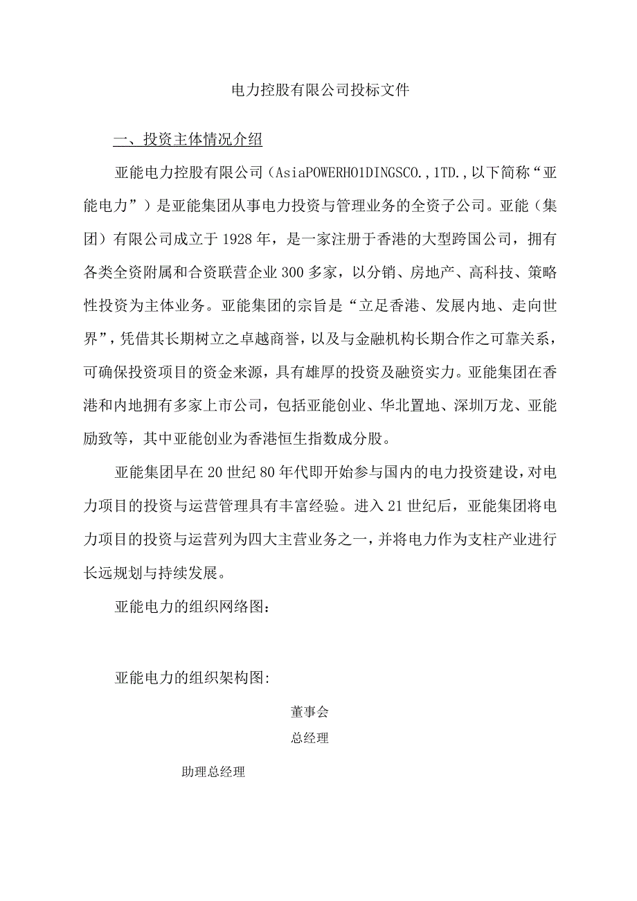 电力控股有限公司投标文件.docx_第1页