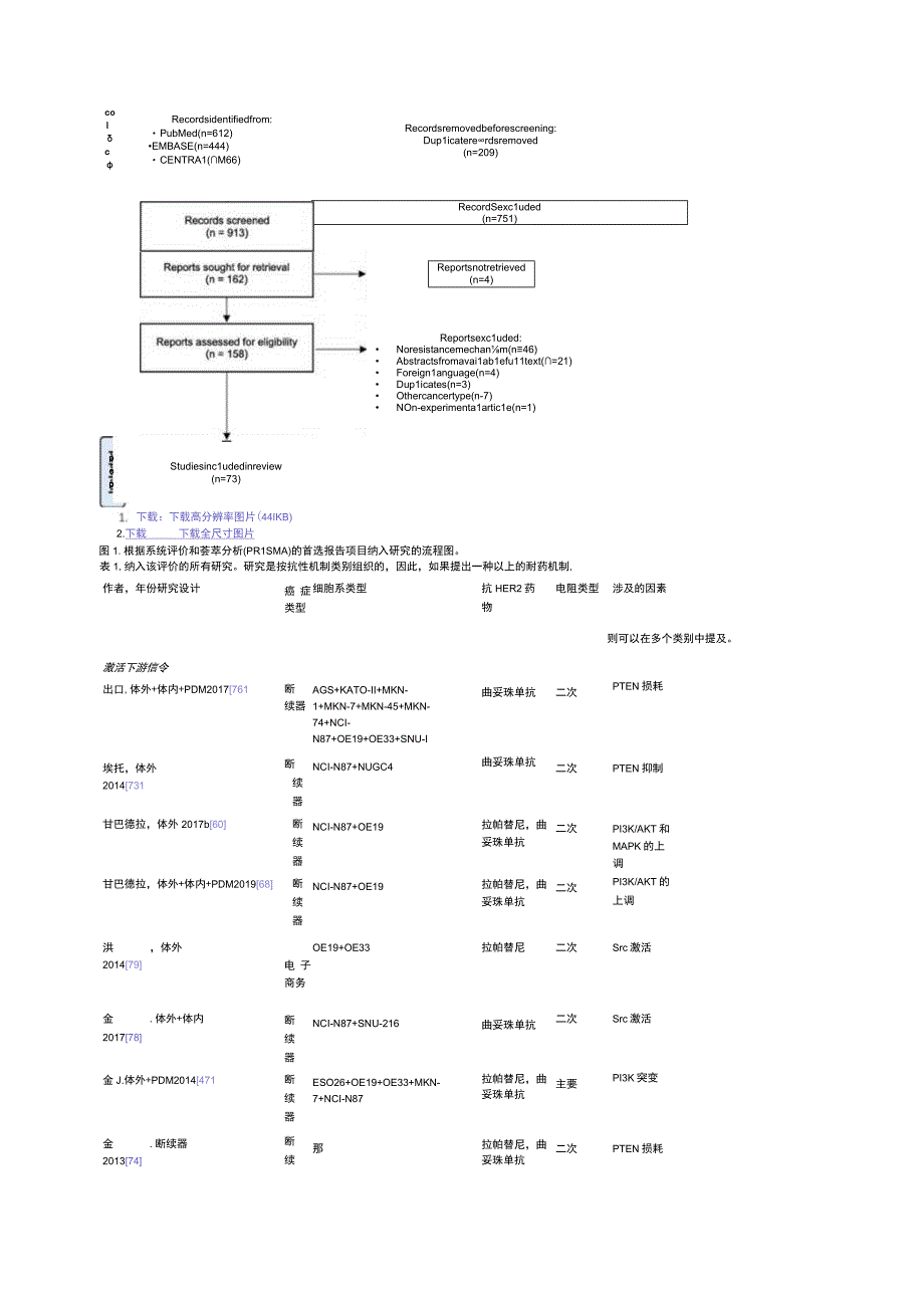 胃食管腺癌HER2靶向治疗的耐药机制.docx_第3页