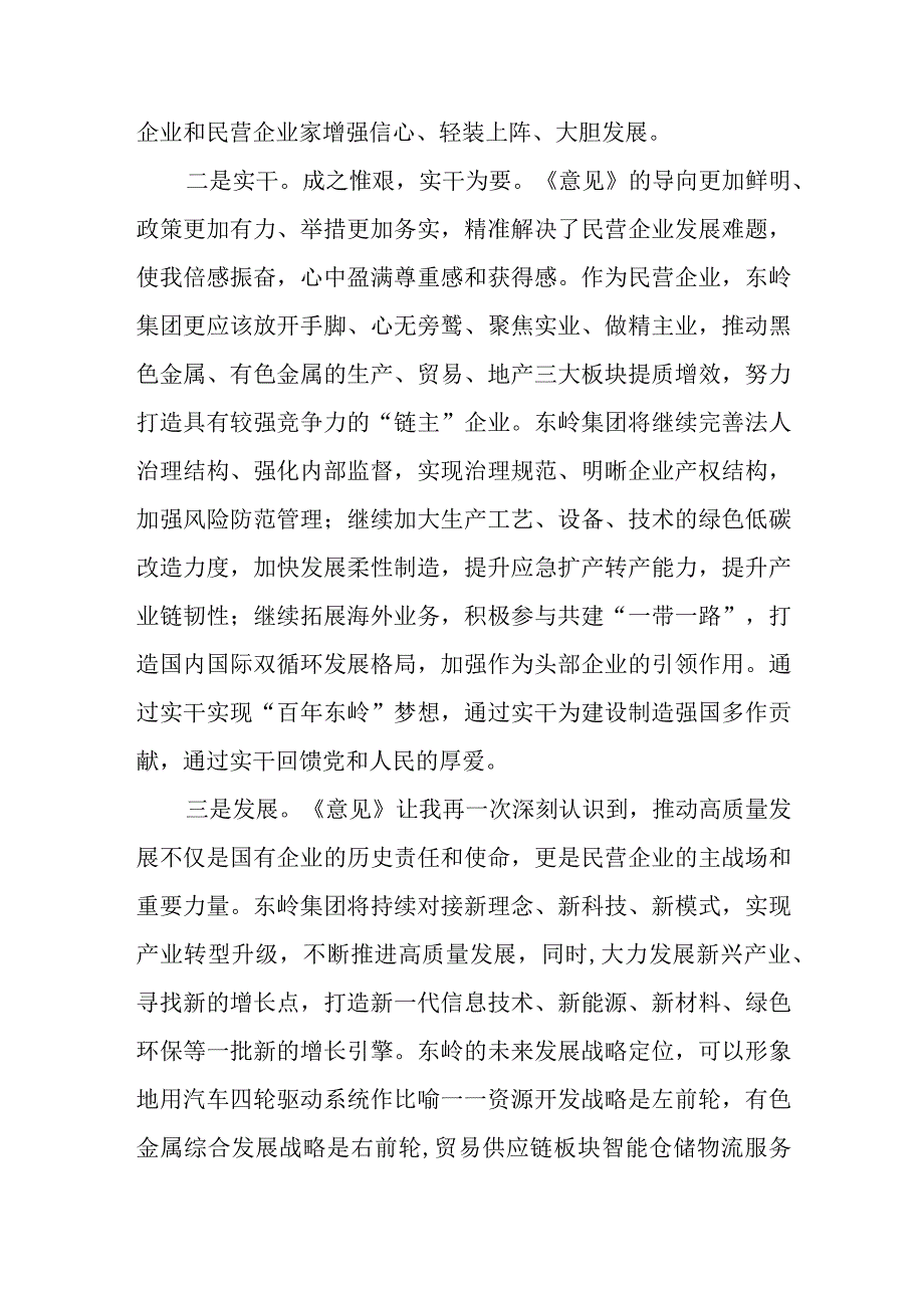 （8篇）2023《关于促进民营经济发展壮大的意见》学习心得体会研讨发言.docx_第2页