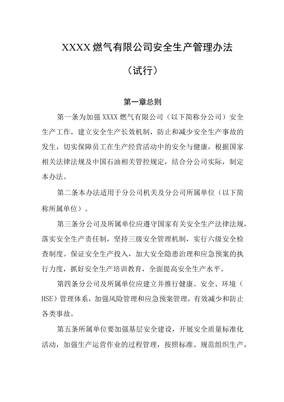 燃气有限公司安全生产管理办法（试行）.docx_第1页