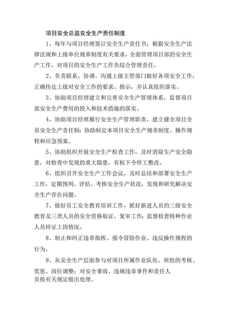 项目安全总监安全生产责任制度.docx_第1页