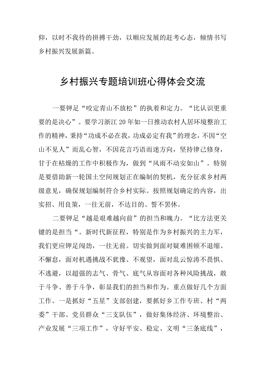 践行党的二十大乡村振兴研讨交流材料(五篇).docx_第3页