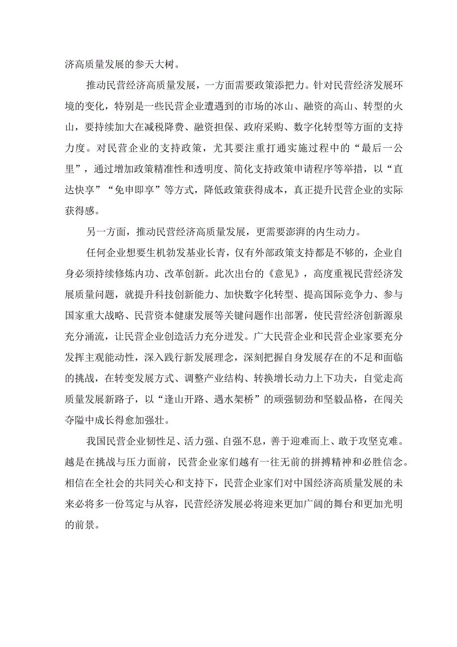 （5篇）2023年贯彻落实《关于实施促进民营经济发展近期若干举措的通知》心得体会发言稿.docx_第2页