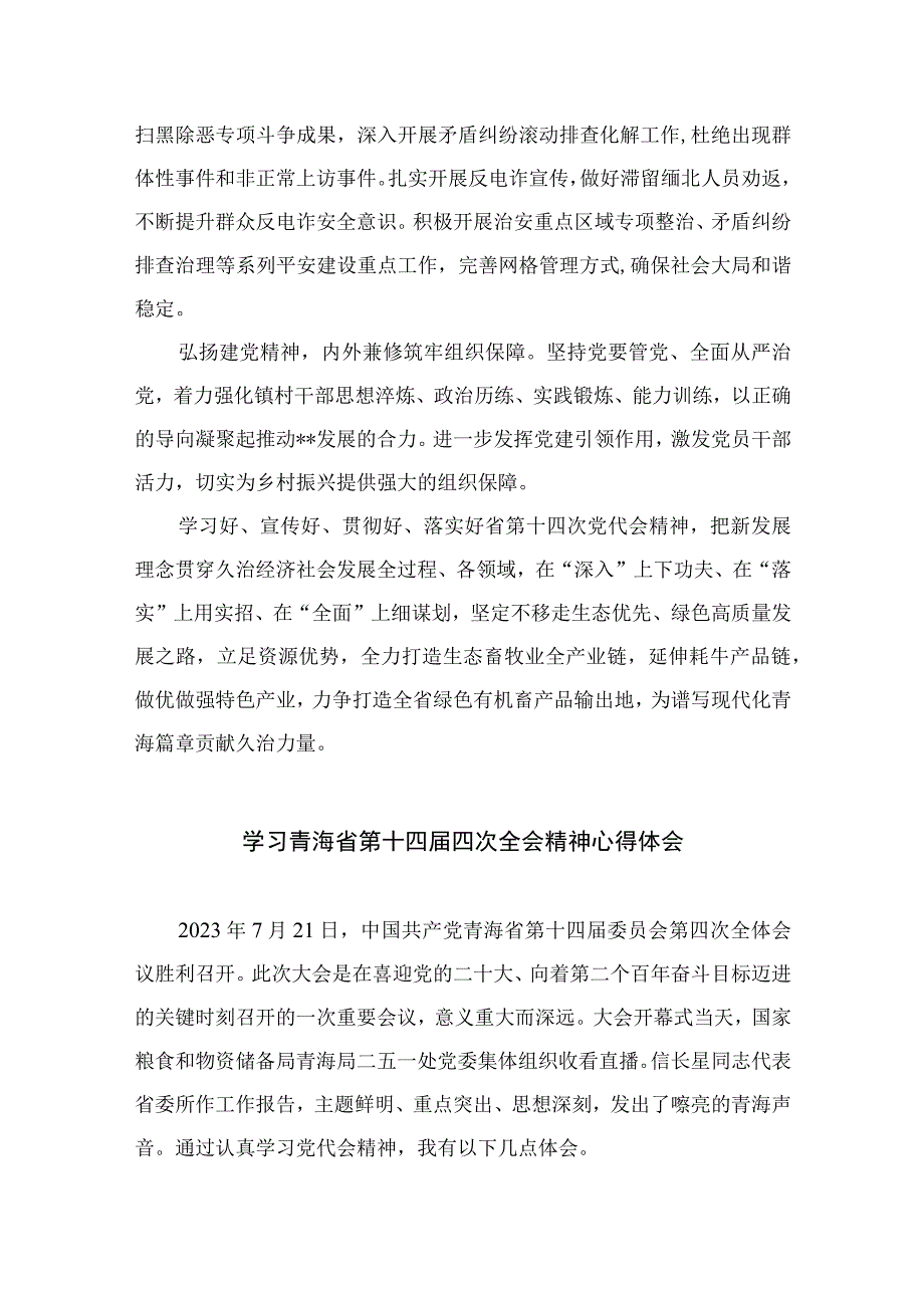 2023学习青海省委十四届四次全会精神专题心得体会研讨发言材料（13篇）.docx_第2页