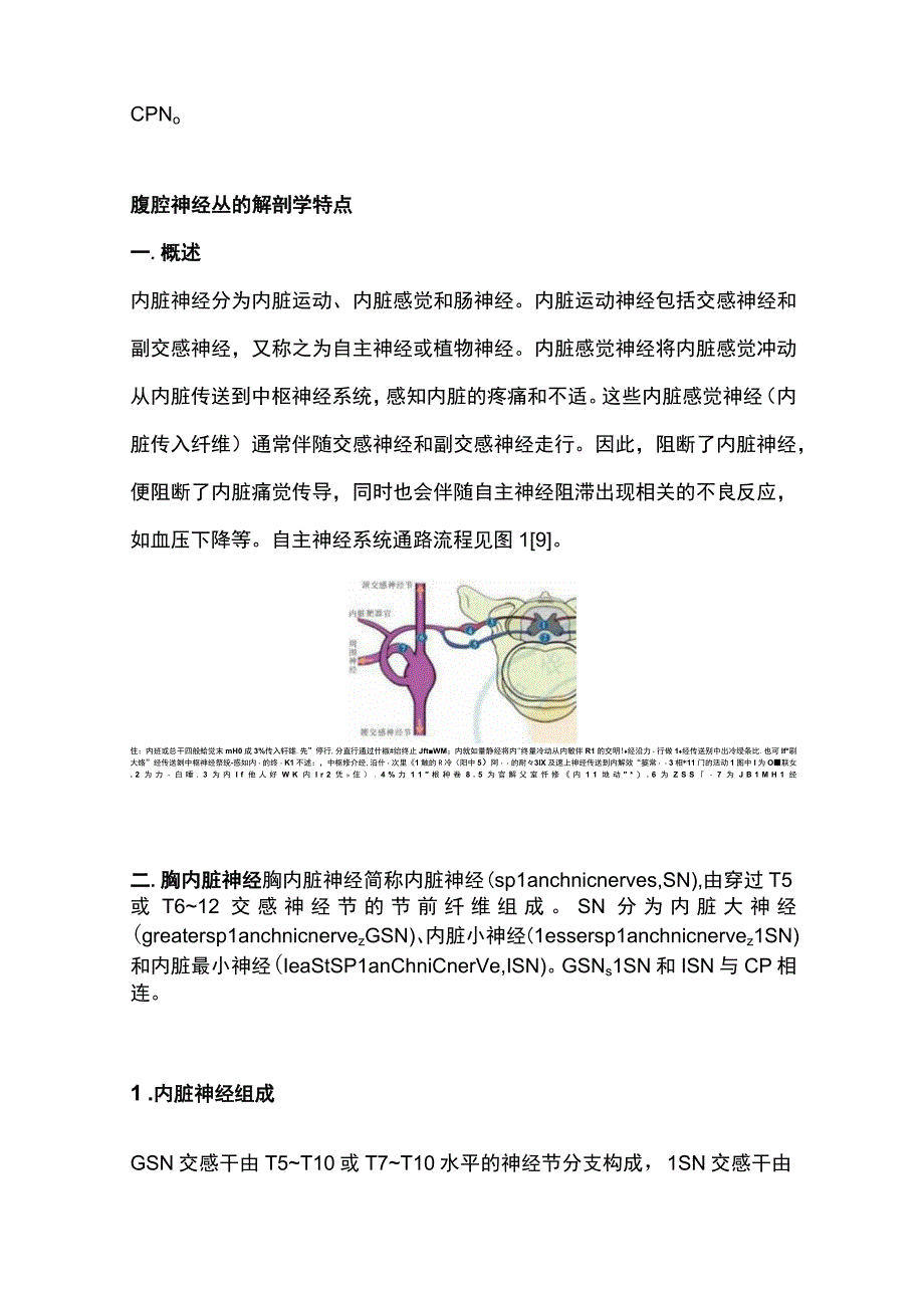 2023腹腔神经丛阻滞疗法中国专家共识（最全版）.docx_第2页