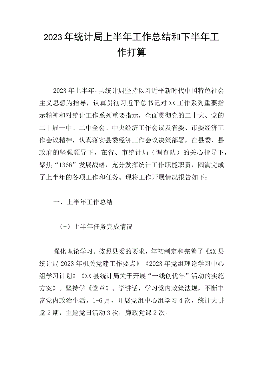 2023年统计局上半年工作总结和下半年工作打算.docx_第1页