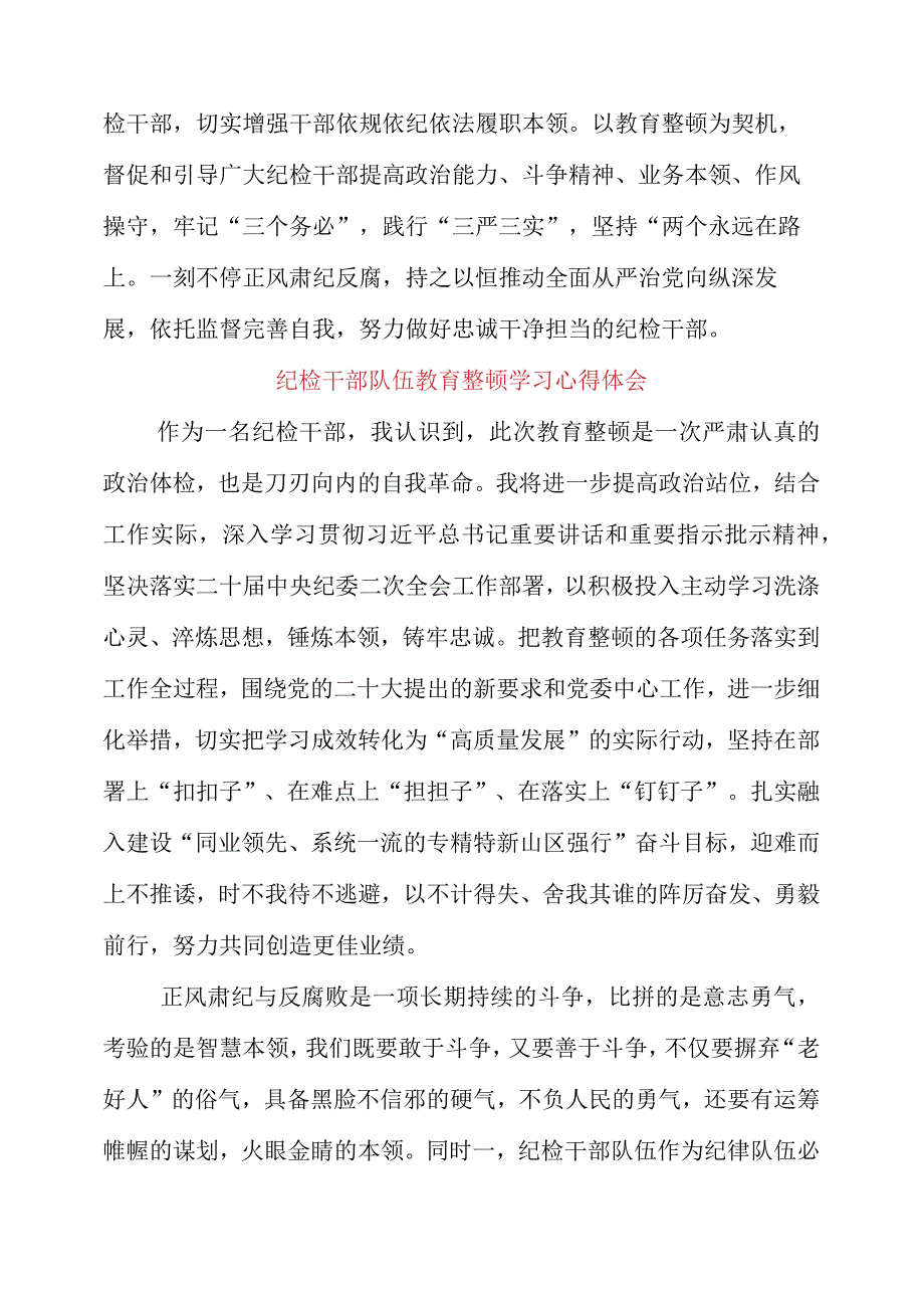 2023年纪检干部队伍教育整顿学习心得体会.docx_第2页