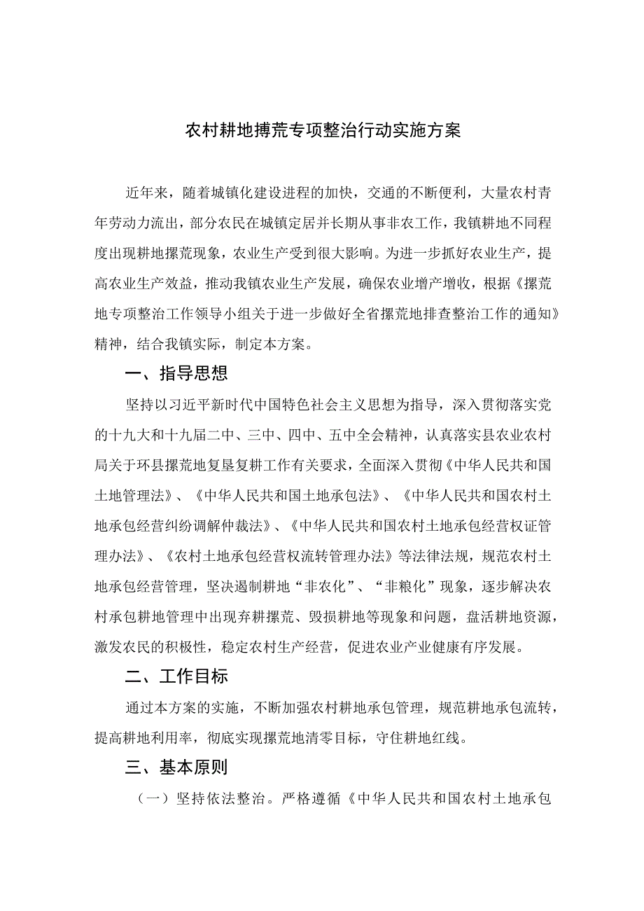 2023农村耕地撂荒专项整治行动实施方案【八篇精选】供参考.docx_第1页