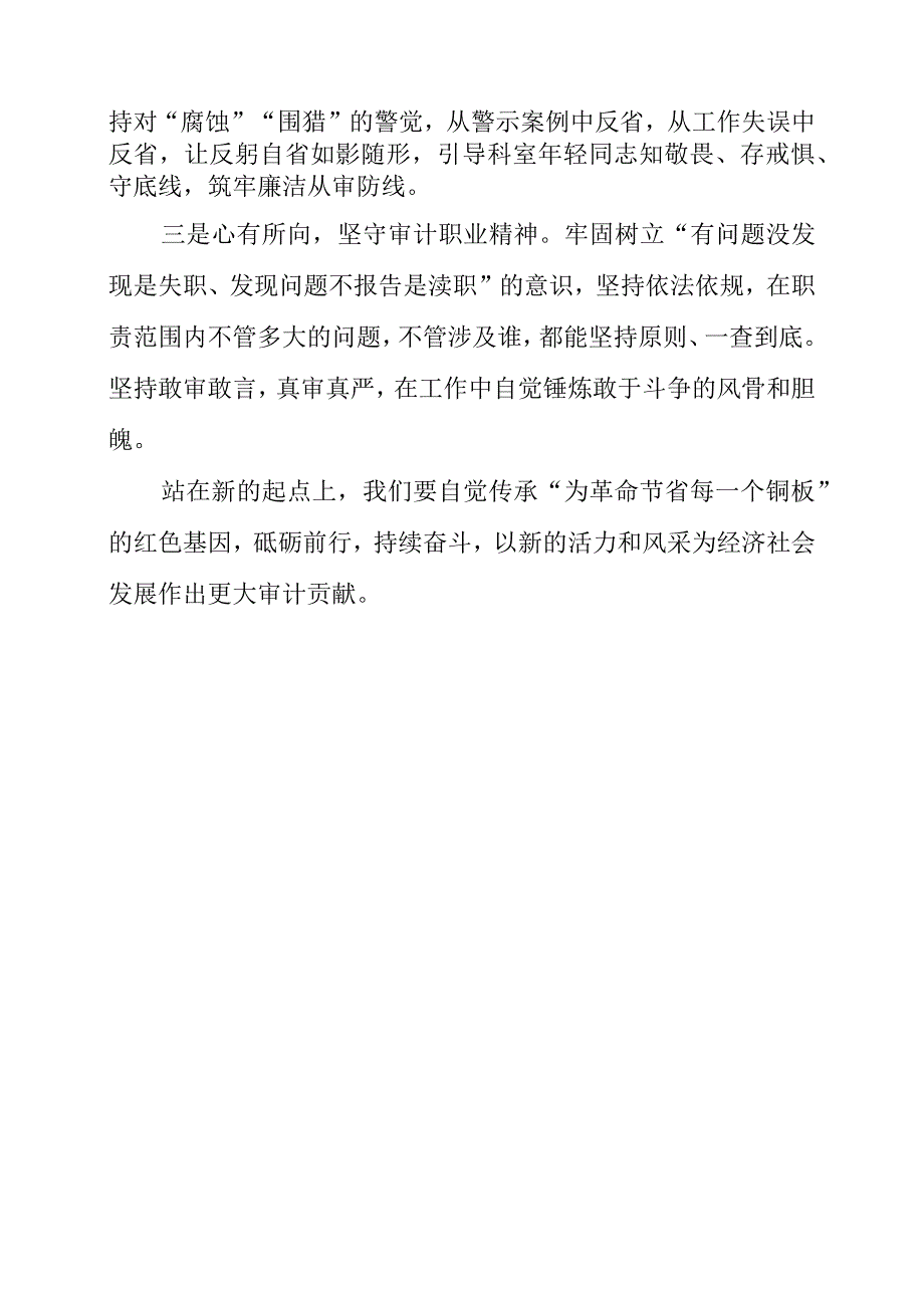 2023年新时代如何做一名纪律严明的“硬核”审计人.docx_第2页