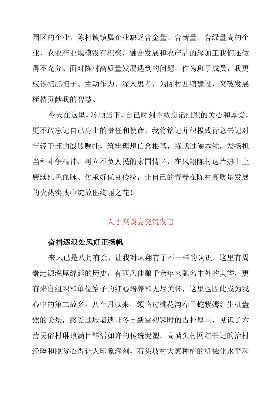 2023年人才座谈会交流发言.docx_第3页