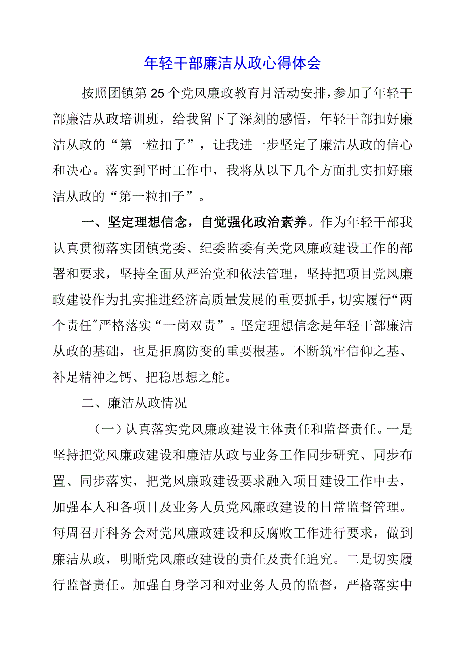 2023年年轻干部廉洁从政心得体会.docx_第1页