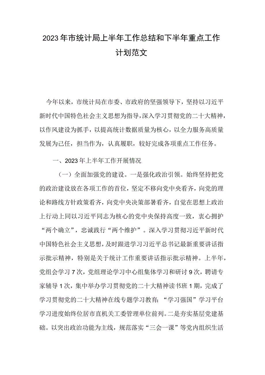 2023年市统计局上半年工作总结和下半年重点工作计划范文.docx_第1页