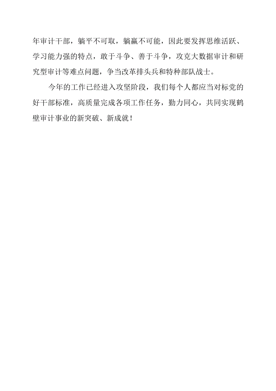 2023年党的审计干部谈三点感悟.docx_第2页