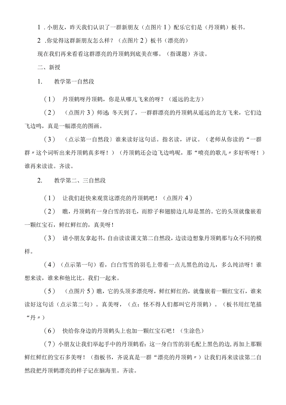 2023年美丽的丹顶鹤教学教案.docx_第3页