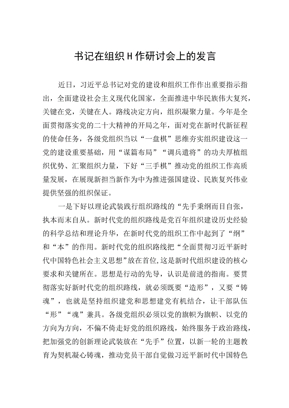 2023年书记在组织工作研讨会上的发言.docx_第1页