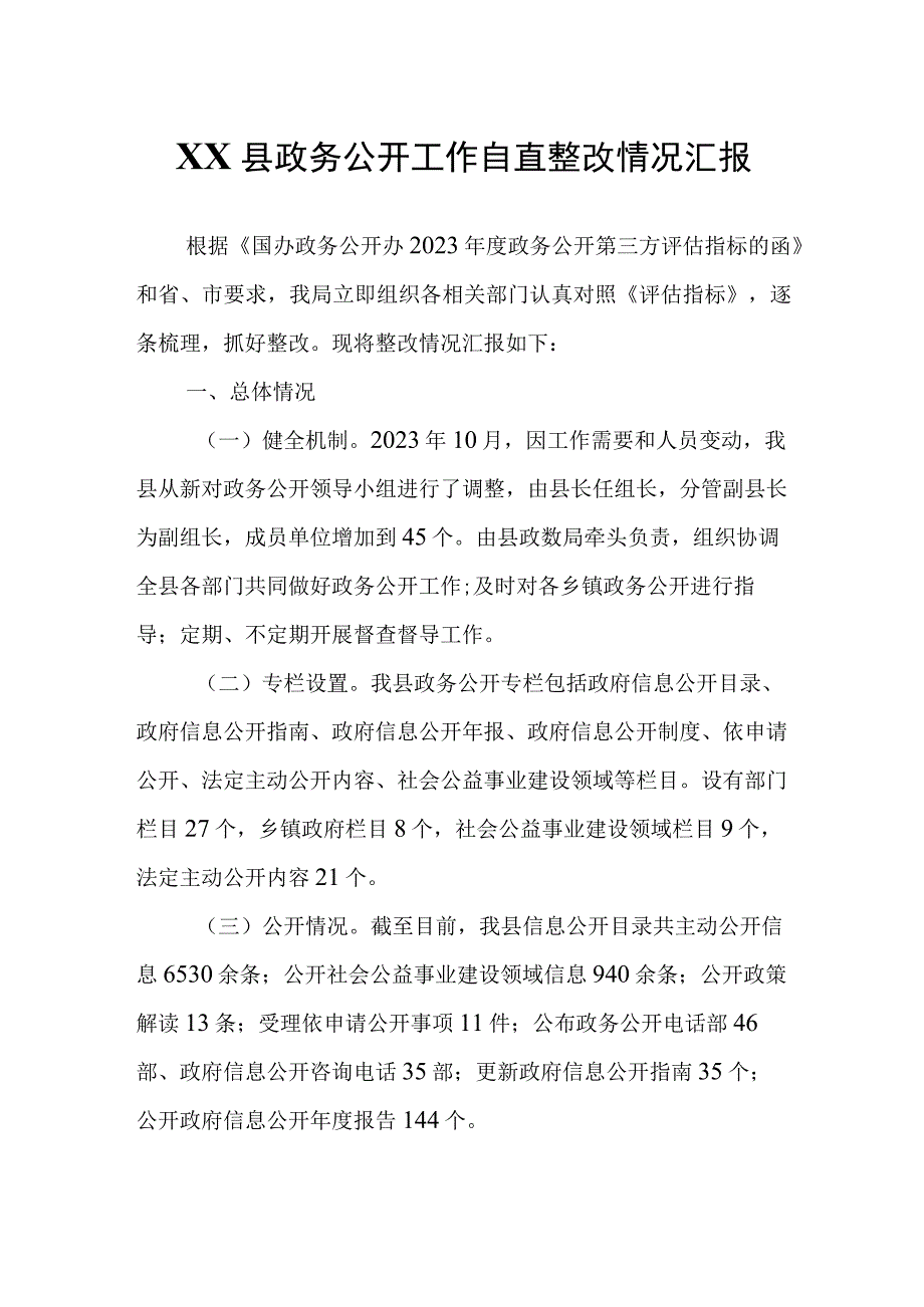 XX县政务公开工作自查整改情况汇报.docx_第1页