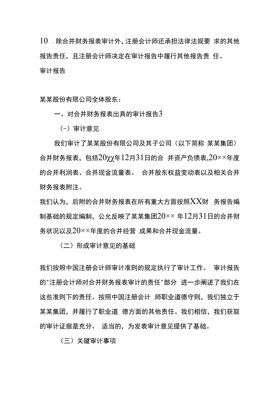 合并财务报表出具的审计报告.docx_第2页