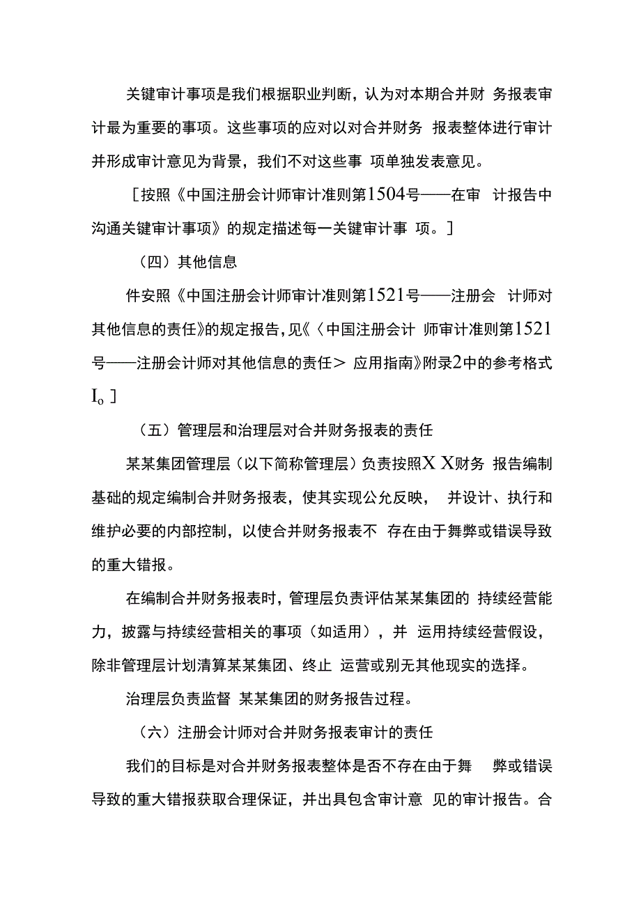 合并财务报表出具的审计报告.docx_第3页