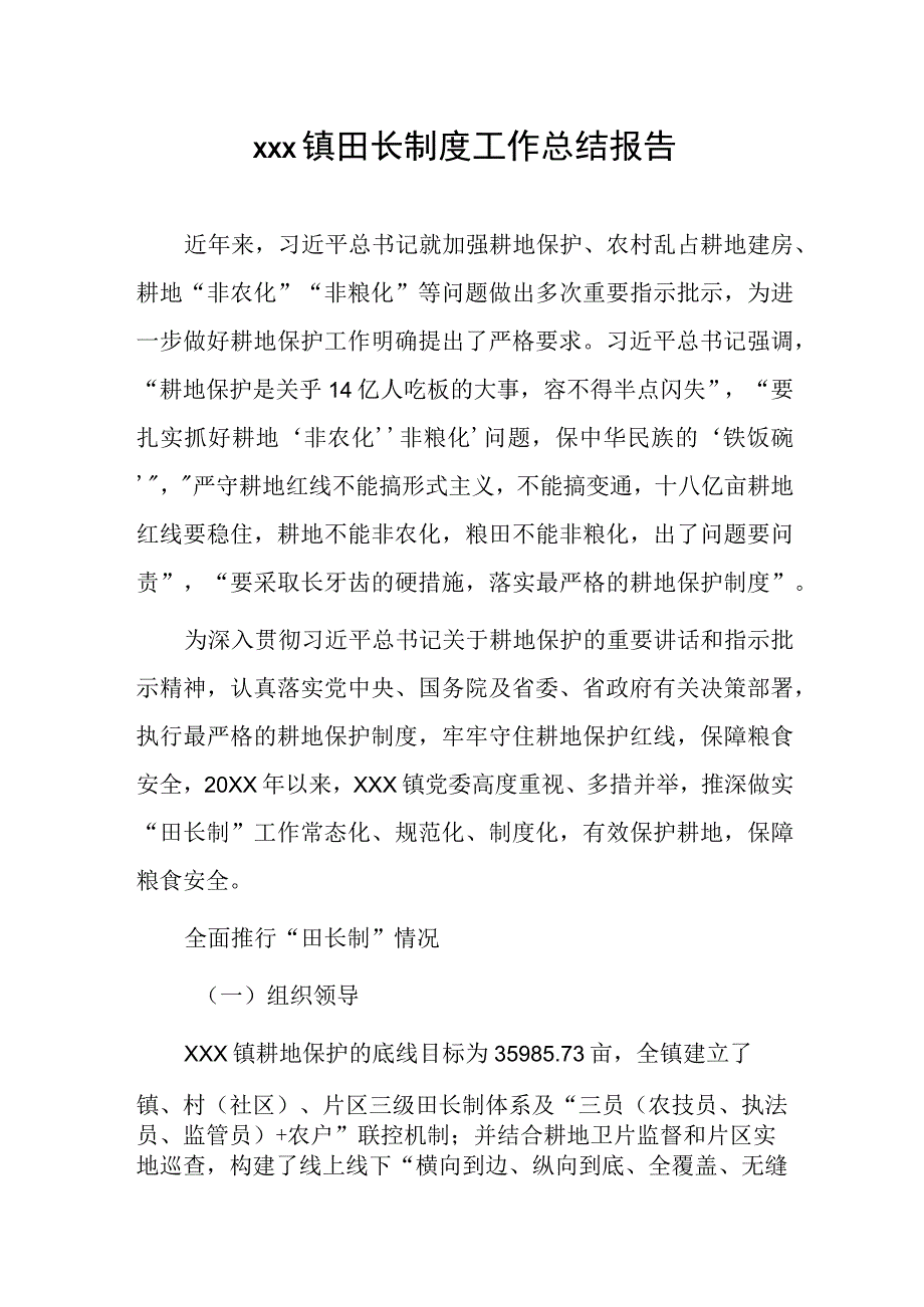 xxx镇田长制度工作总结报告.docx_第1页