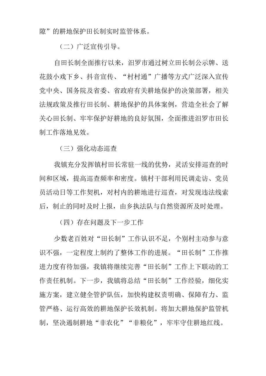 xxx镇田长制度工作总结报告.docx_第2页