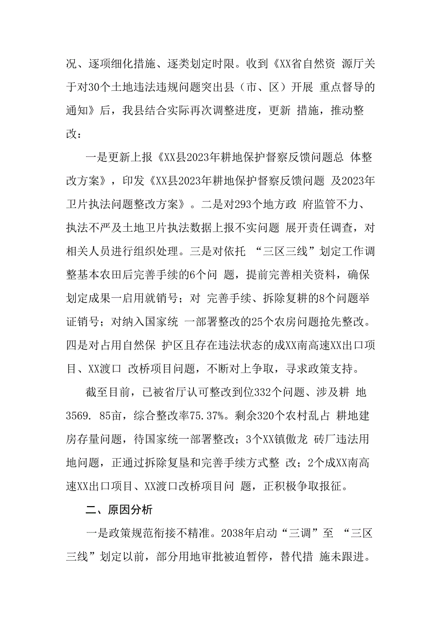 国家耕地保护督察反馈问题检视会上的发言.docx_第2页