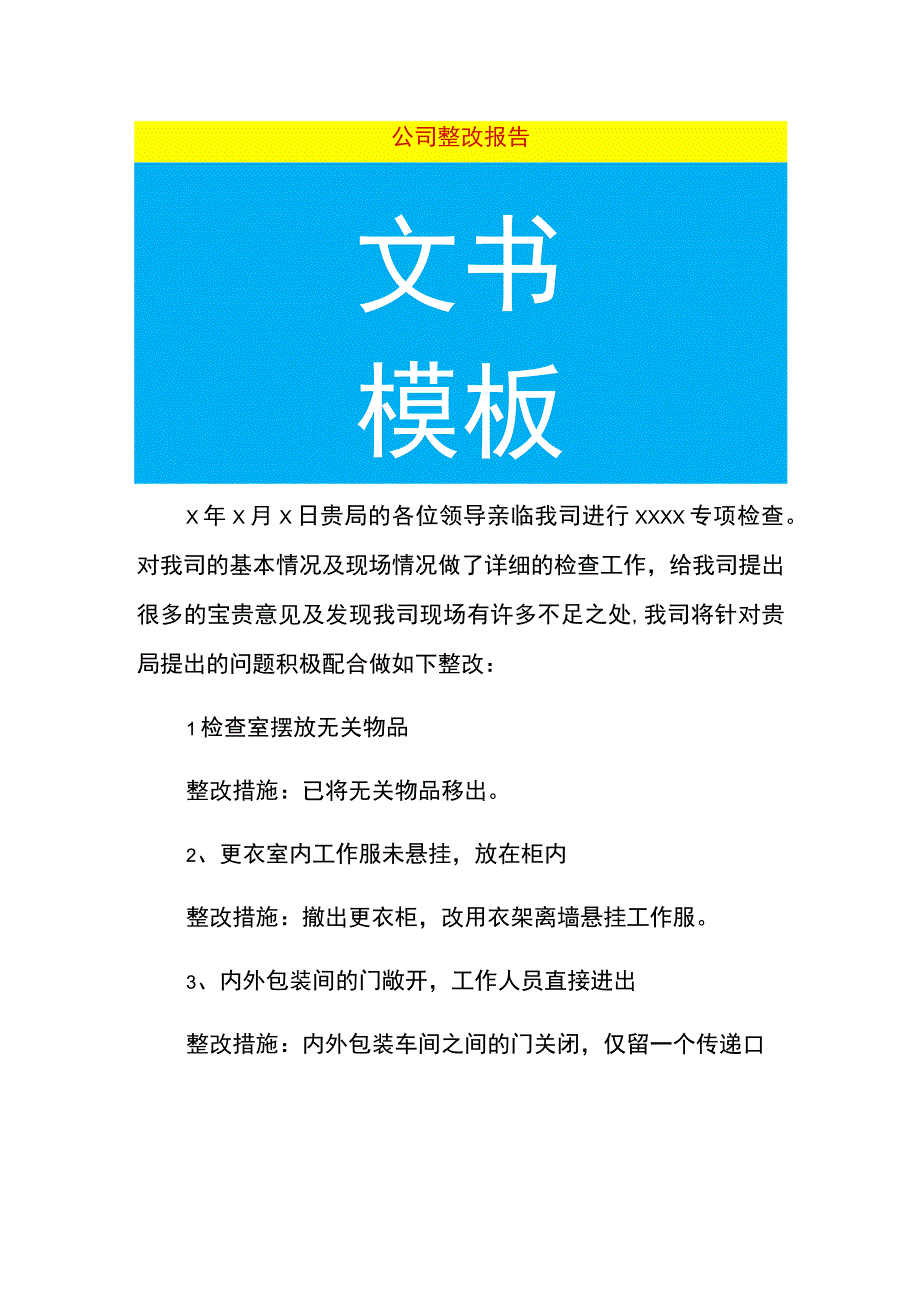 公司整改报告.docx_第1页