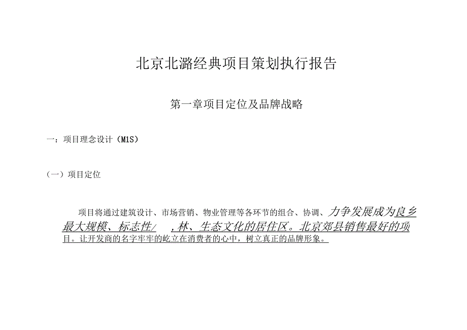 北京北潞经典项目策划执行报告.docx_第1页