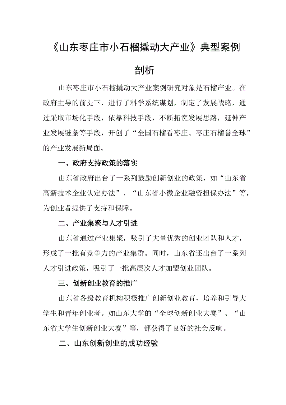 《山东枣庄市小石榴撬动大产业》典型案例剖析.docx_第1页