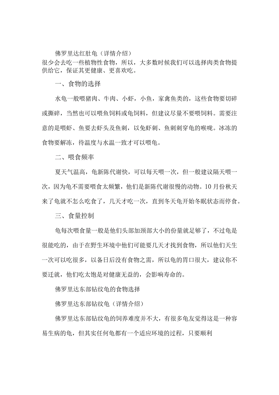 佛罗里达鸡龟.docx_第3页