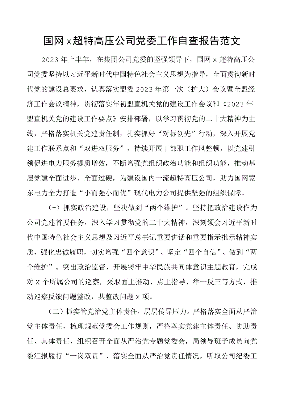 x超特高压公司团队委工作自查报告工作汇报总结.docx_第1页