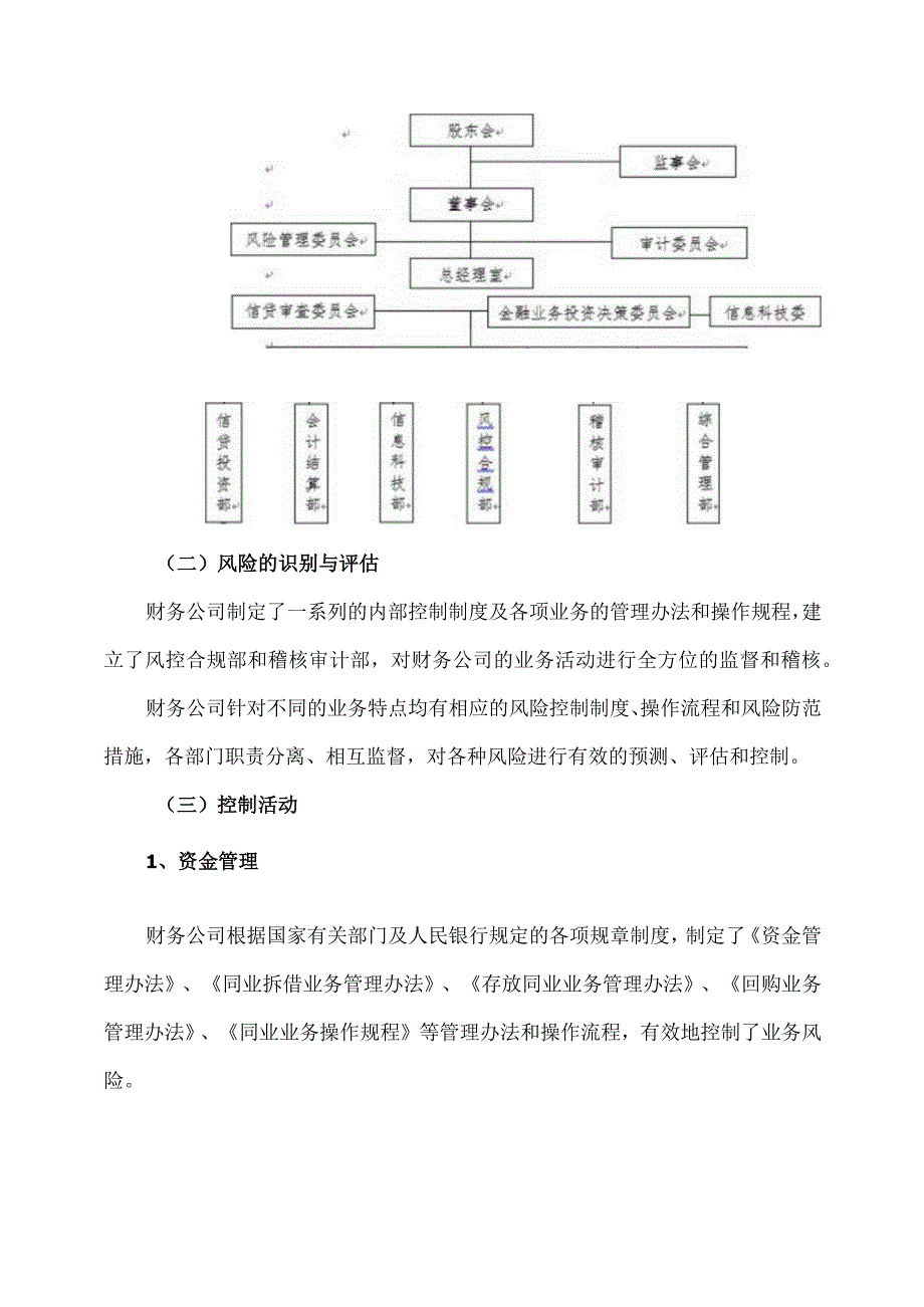 XX集团有限公司关于对XX集团财务有限公司的风险持续评估报告.docx_第3页