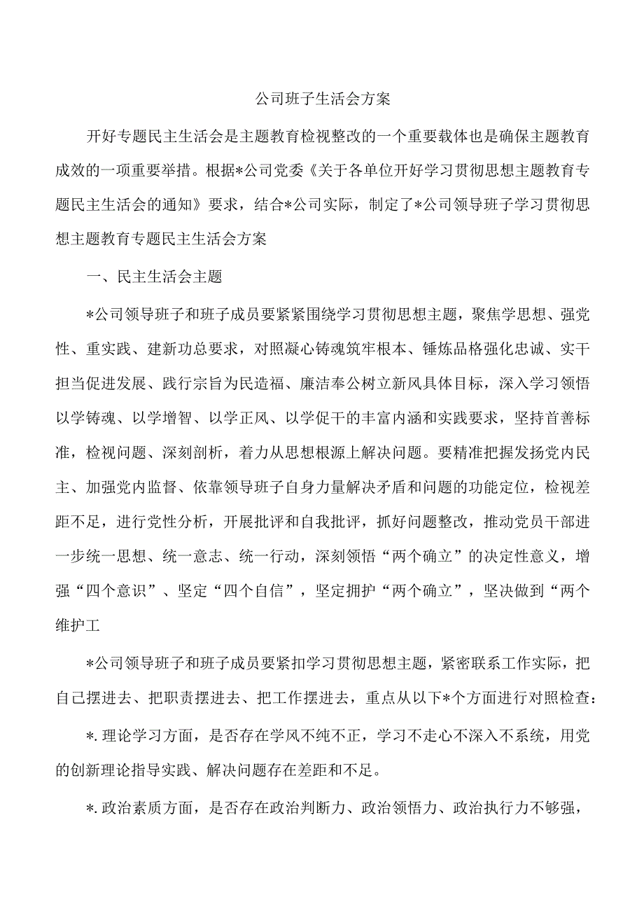 公司班子生活会方案.docx_第1页